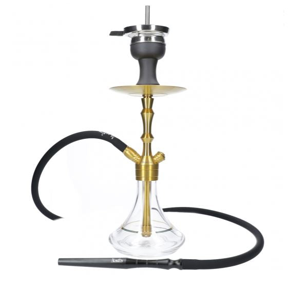 MVP 360 GOLD EDITION Chicha Aladin